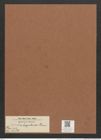 Surirella kerguelensis Grun. (de-Toni-Nr.: Genus 53, Species 2386) Zeichnungen Sammlung Grunow Mappe 02541 (Herbarium_W_Grunow_drawings_Folder_02541)